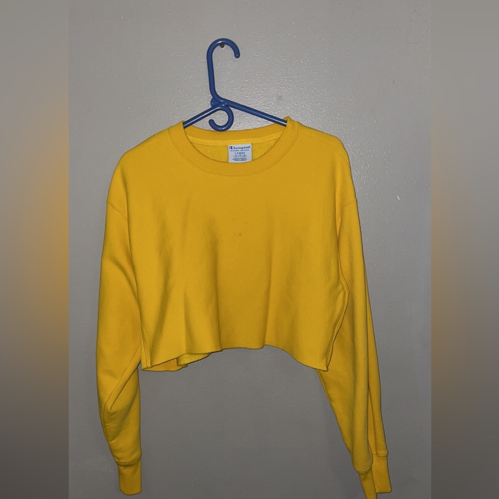 Women’s Champion Long Sleeve Crop Top